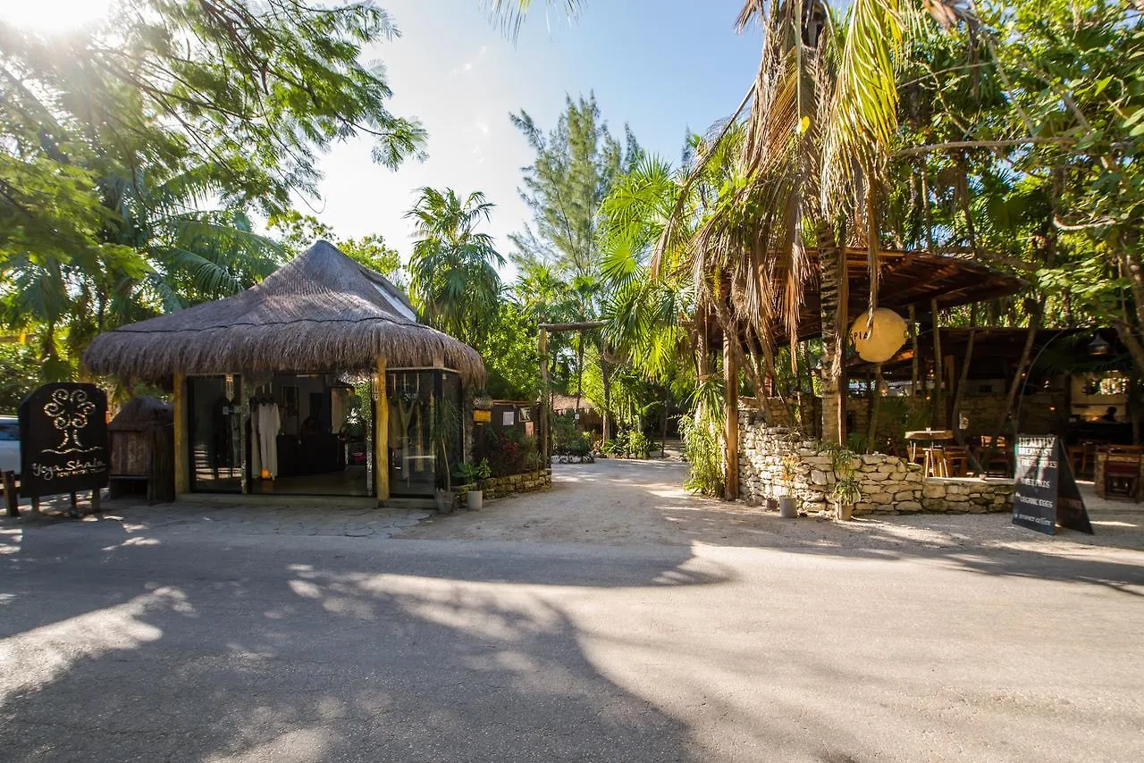 Hôtel Yoga Shala Tulum Hotel
