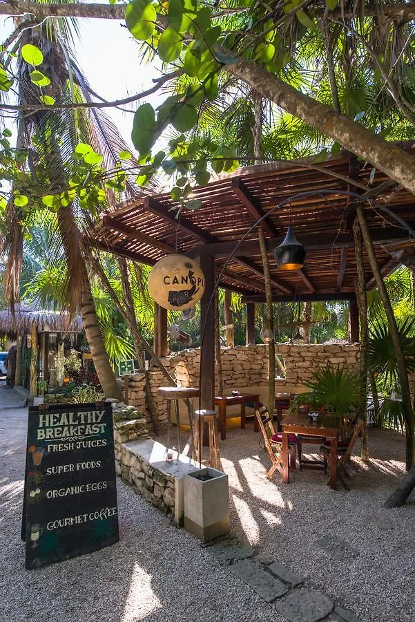 Hôtel Yoga Shala Tulum 3*,  Mexique
